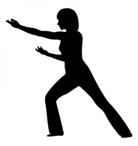 Tai Chi. Girls silueta in vector